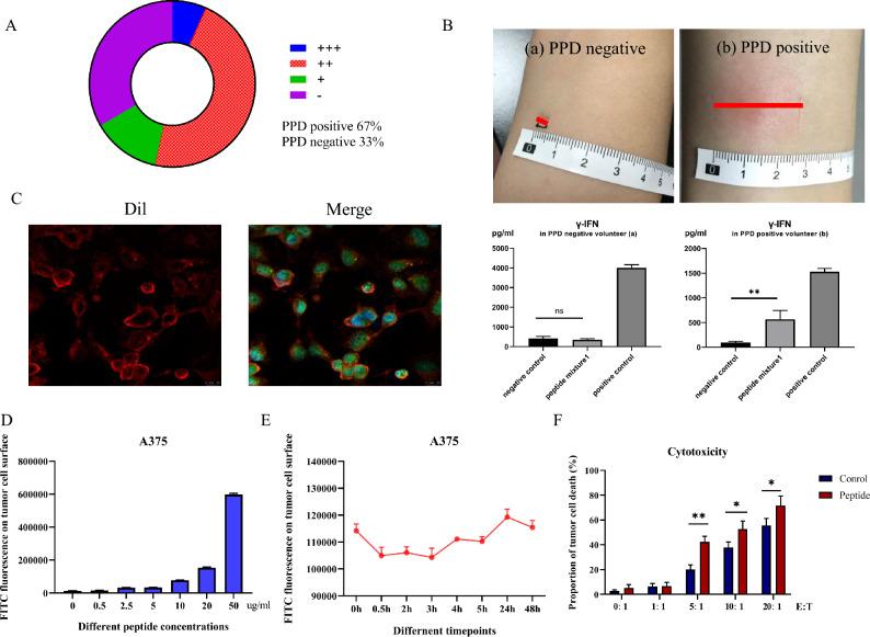 https://cdn.ncbi.nlm.nih.gov/pmc/blobs/bddc/11024071/5f2eca1b38f1/262_2024_3693_Fig1_HTML.jpg