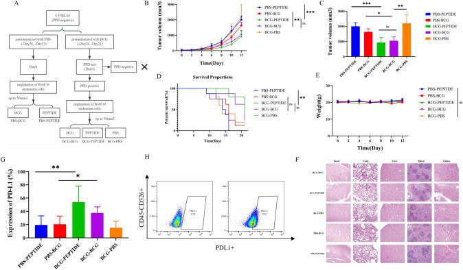https://cdn.ncbi.nlm.nih.gov/pmc/blobs/bddc/11024071/985b9e254b7c/262_2024_3693_Fig3_HTML.jpg