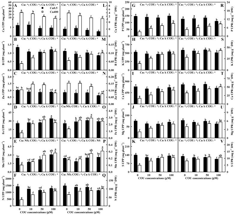 https://cdn.ncbi.nlm.nih.gov/pmc/blobs/bddc/11678025/7b0cfd154edd/plants-13-03584-g004.jpg
