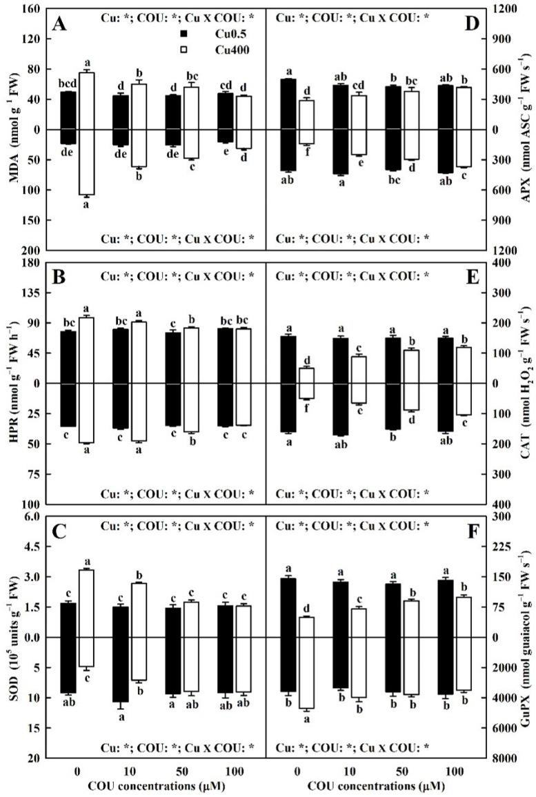 https://cdn.ncbi.nlm.nih.gov/pmc/blobs/bddc/11678025/a6fd77ed662d/plants-13-03584-g009.jpg