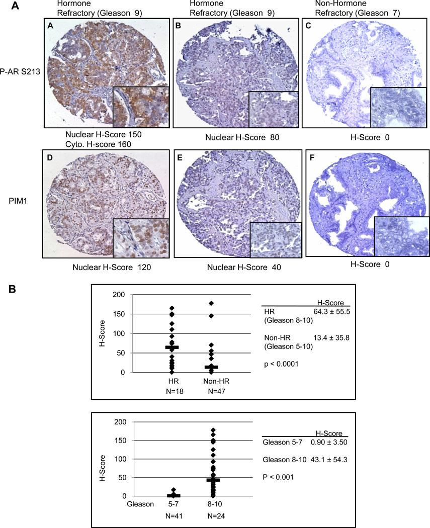 https://cdn.ncbi.nlm.nih.gov/pmc/blobs/bddd/3527659/6225ba881722/nihms396871f8.jpg