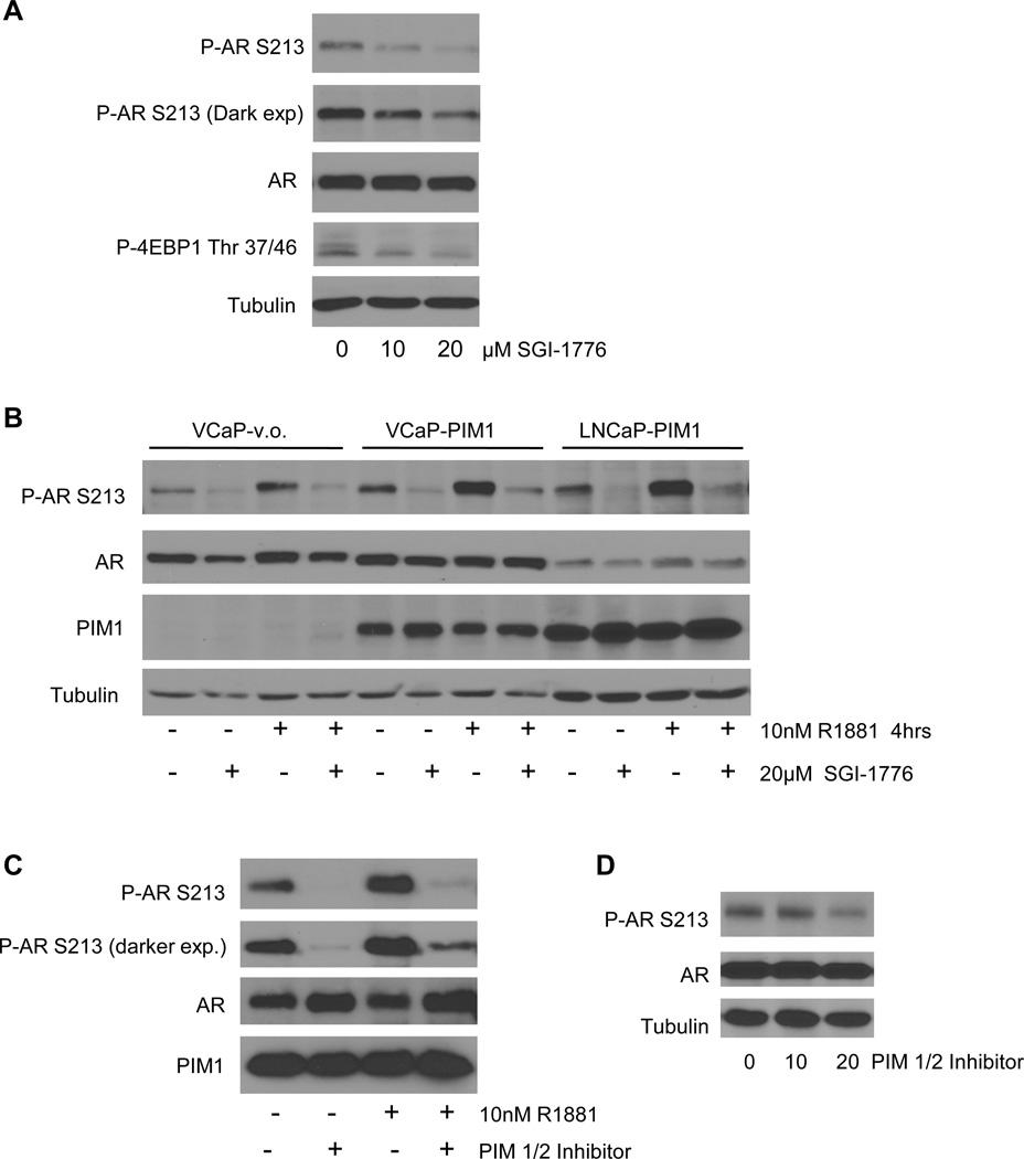 https://cdn.ncbi.nlm.nih.gov/pmc/blobs/bddd/3527659/6e35ef1ce3f0/nihms396871f5.jpg