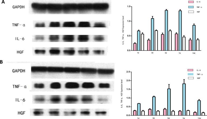 https://cdn.ncbi.nlm.nih.gov/pmc/blobs/bddd/9306035/56127991e55e/12893_2022_1726_Fig5_HTML.jpg
