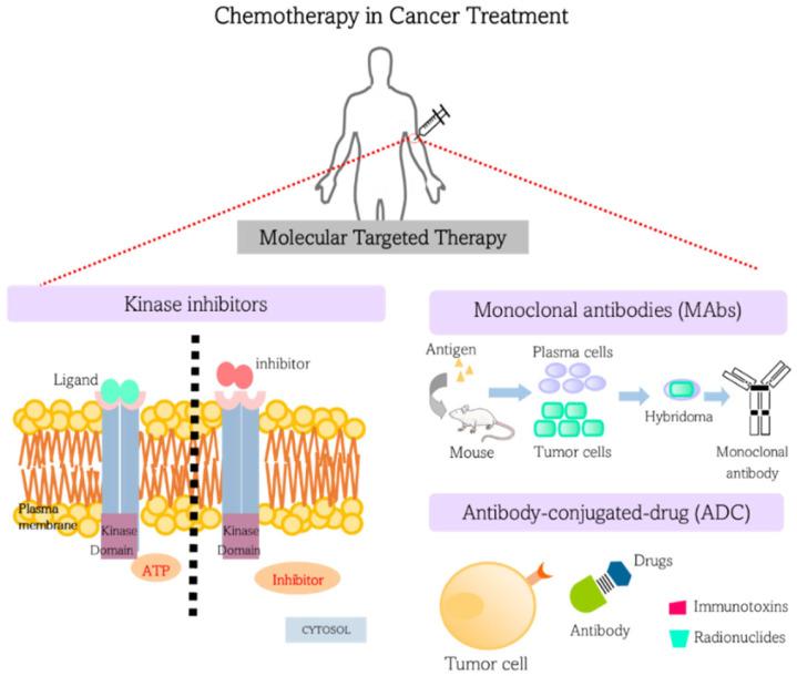 https://cdn.ncbi.nlm.nih.gov/pmc/blobs/bddd/9781635/7916e331c588/materials-15-09082-g001.jpg
