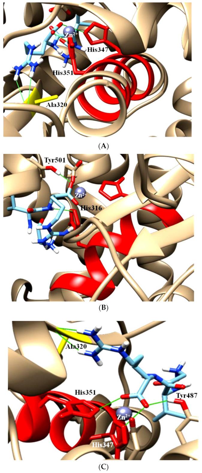 https://cdn.ncbi.nlm.nih.gov/pmc/blobs/bdde/10254462/4535b1948ae5/molecules-28-04532-g003.jpg