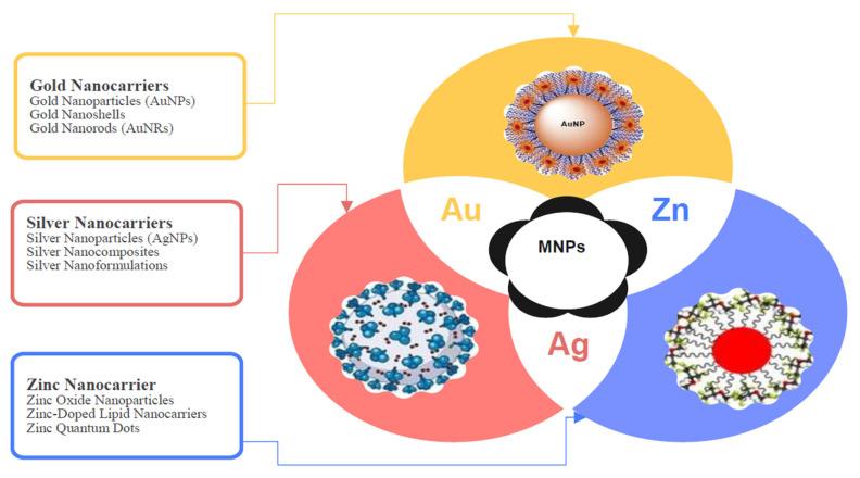 https://cdn.ncbi.nlm.nih.gov/pmc/blobs/bdde/12189420/1306a8295255/antibiotics-14-00555-g006.jpg
