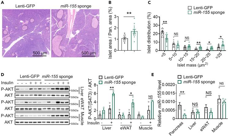 https://cdn.ncbi.nlm.nih.gov/pmc/blobs/bddf/10993184/52e5c4eea692/gr2.jpg