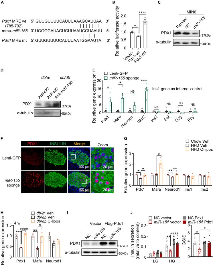 https://cdn.ncbi.nlm.nih.gov/pmc/blobs/bddf/10993184/b6ce65d85325/gr5.jpg