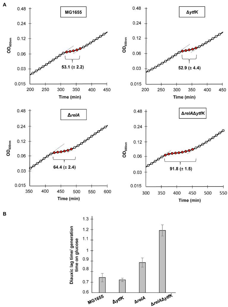 https://cdn.ncbi.nlm.nih.gov/pmc/blobs/bde2/8600398/6159cf8ed0fd/fmicb-12-775164-g005.jpg