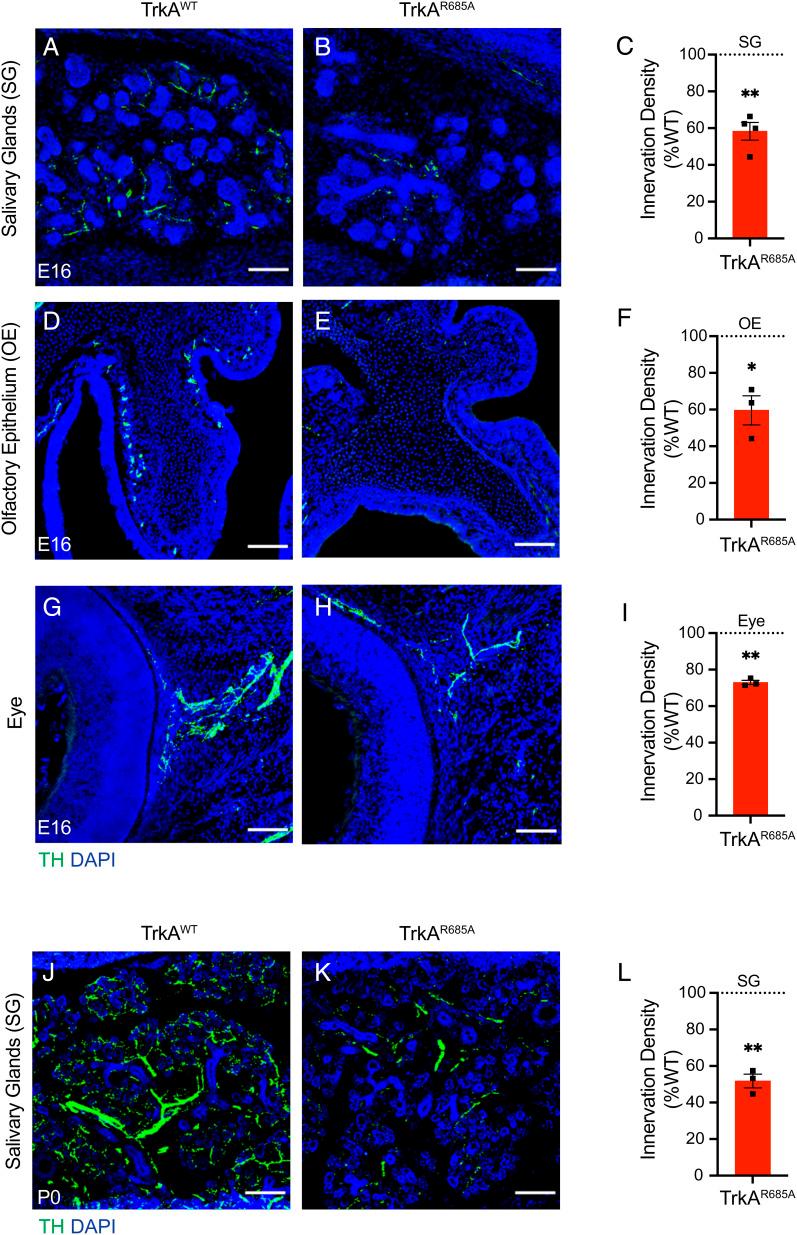 https://cdn.ncbi.nlm.nih.gov/pmc/blobs/bde2/9963894/2a55ae019259/pnas.2205426120fig03.jpg