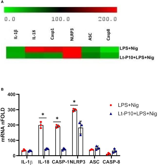https://cdn.ncbi.nlm.nih.gov/pmc/blobs/bde3/11066211/450483341907/fimmu-15-1298275-g002.jpg