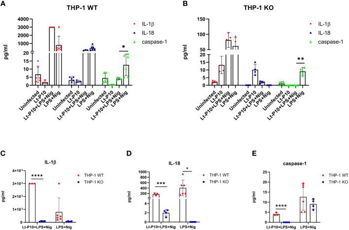 https://cdn.ncbi.nlm.nih.gov/pmc/blobs/bde3/11066211/6cd6dca0bee7/fimmu-15-1298275-g004.jpg