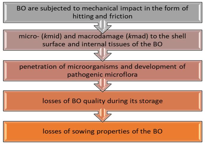 https://cdn.ncbi.nlm.nih.gov/pmc/blobs/bde3/12072839/263655d5d692/materials-18-02075-g001.jpg