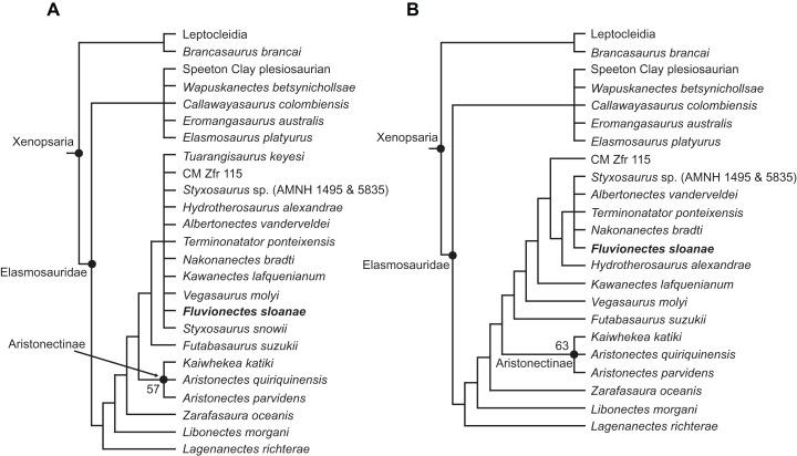 https://cdn.ncbi.nlm.nih.gov/pmc/blobs/bde3/7882142/6e5e37810e72/peerj-09-10720-g013.jpg