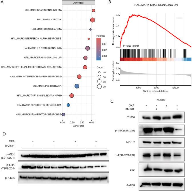 https://cdn.ncbi.nlm.nih.gov/pmc/blobs/bde4/12261016/33e76ccc7147/jgo-16-03-823-f5.jpg
