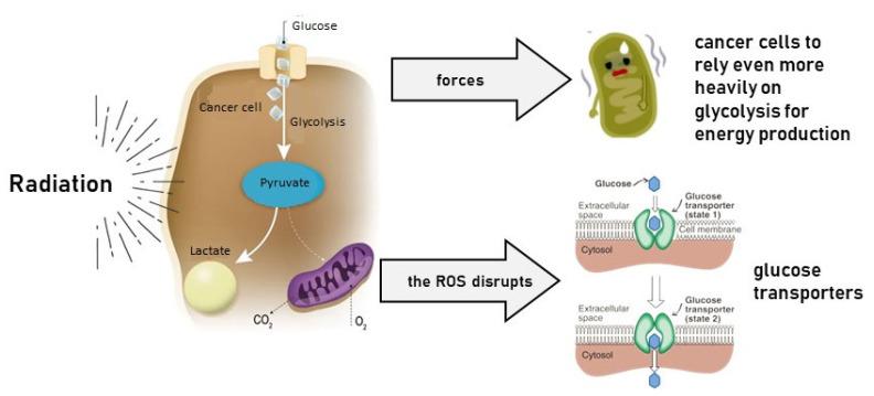 https://cdn.ncbi.nlm.nih.gov/pmc/blobs/bde5/11719003/4981c4d81877/cancers-17-00054-g001.jpg