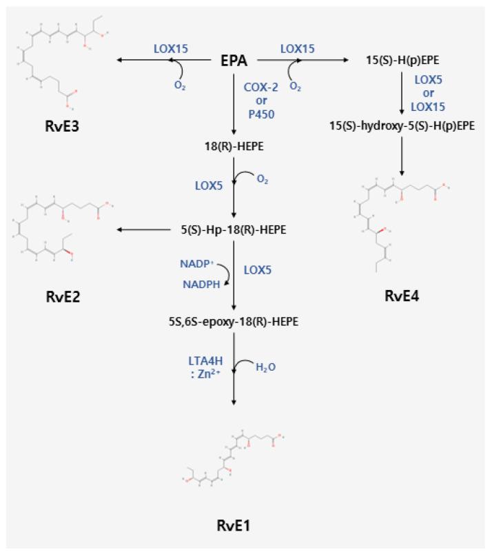 https://cdn.ncbi.nlm.nih.gov/pmc/blobs/bde6/10610411/88503a145829/pharmaceuticals-16-01366-g002.jpg