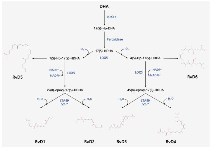 https://cdn.ncbi.nlm.nih.gov/pmc/blobs/bde6/10610411/8fa6d0d1b06d/pharmaceuticals-16-01366-g001.jpg