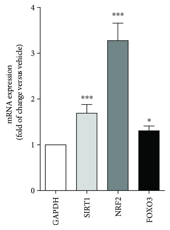 https://cdn.ncbi.nlm.nih.gov/pmc/blobs/bde6/6079356/060c63320b85/OMCL2018-9395804.006.jpg