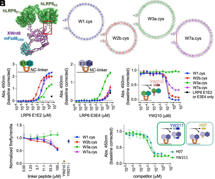 https://cdn.ncbi.nlm.nih.gov/pmc/blobs/bde7/10089208/9f38d82645f1/pnas.2218238120fig05.jpg