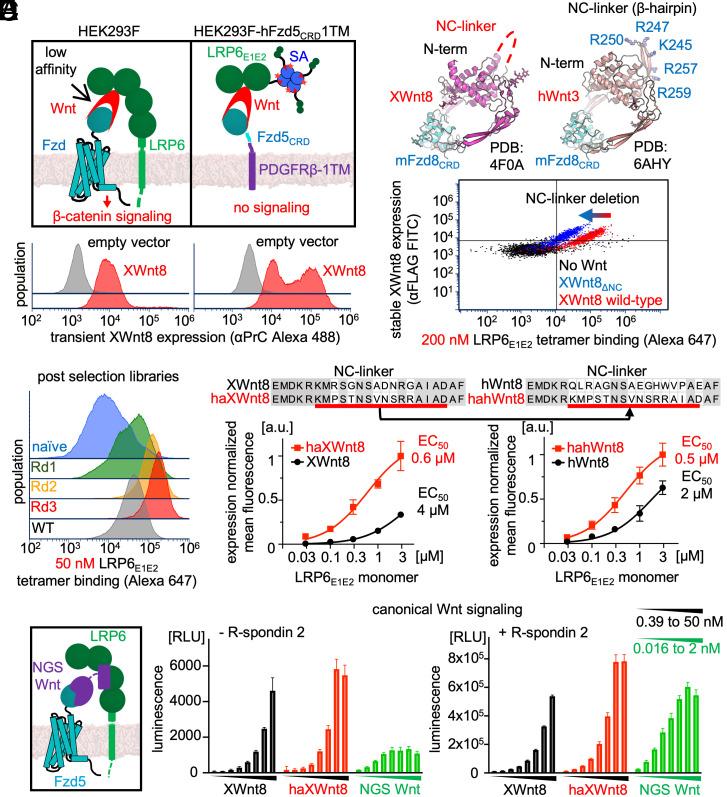 https://cdn.ncbi.nlm.nih.gov/pmc/blobs/bde7/10089208/fbe1cd99b1fd/pnas.2218238120fig01.jpg
