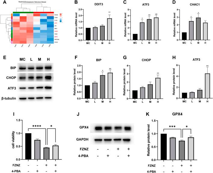 https://cdn.ncbi.nlm.nih.gov/pmc/blobs/bde8/9727497/cac1c8aa9d7e/fphar-13-1066244-g010.jpg