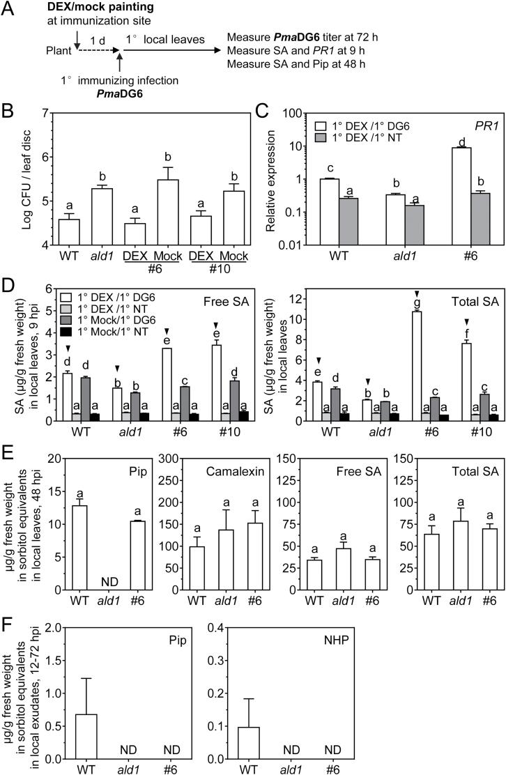 https://cdn.ncbi.nlm.nih.gov/pmc/blobs/bde9/8006555/4c3cd91b110e/eraa609f0004.jpg