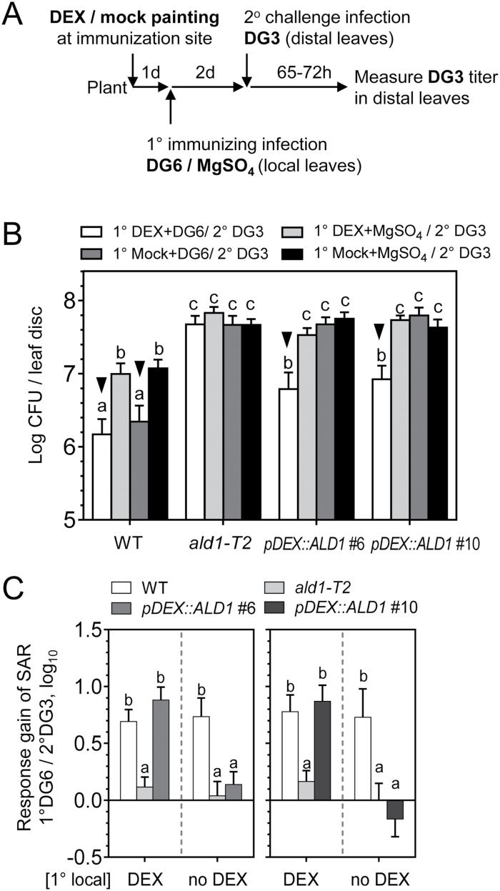 https://cdn.ncbi.nlm.nih.gov/pmc/blobs/bde9/8006555/6660d2f365c2/eraa609f0005.jpg