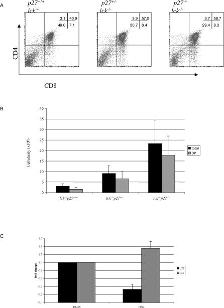 https://cdn.ncbi.nlm.nih.gov/pmc/blobs/bdea/2323310/269e0492ab3b/pgen.0030219.g005.jpg
