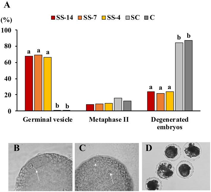 https://cdn.ncbi.nlm.nih.gov/pmc/blobs/bdea/8637542/bd510e78ce72/fvets-08-771573-g0003.jpg