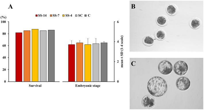 https://cdn.ncbi.nlm.nih.gov/pmc/blobs/bdea/8637542/f6db2bdb1766/fvets-08-771573-g0006.jpg