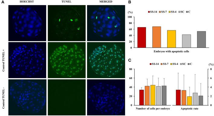 https://cdn.ncbi.nlm.nih.gov/pmc/blobs/bdea/8637542/fdc6f2fda778/fvets-08-771573-g0005.jpg
