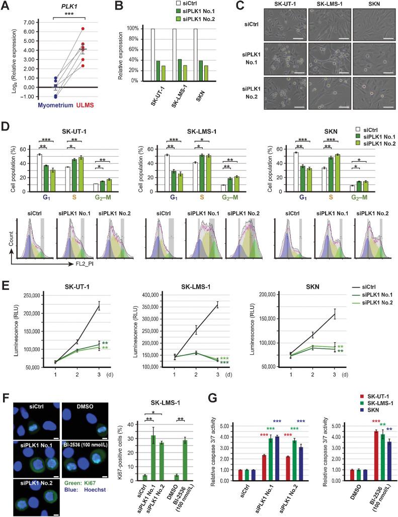 https://cdn.ncbi.nlm.nih.gov/pmc/blobs/bdea/9365385/a2f4b33a9052/2147fig3.jpg