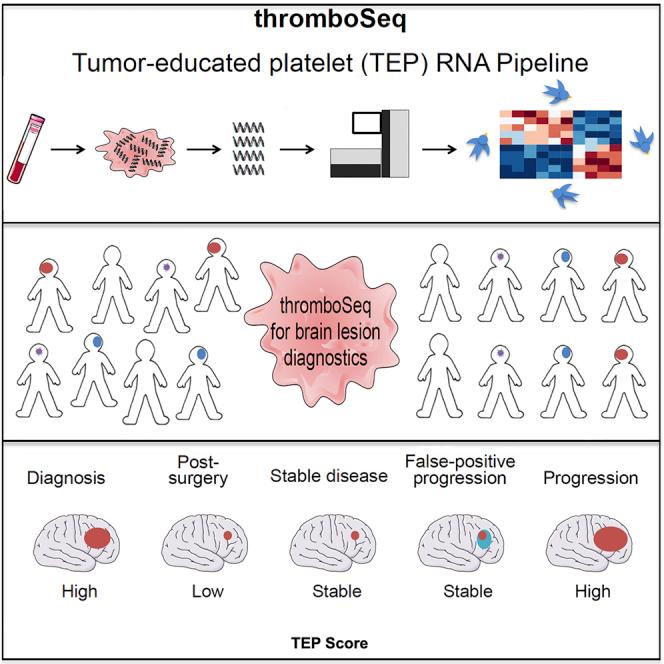 https://cdn.ncbi.nlm.nih.gov/pmc/blobs/bdec/7659575/7a5aaa63d5d5/fx1.jpg