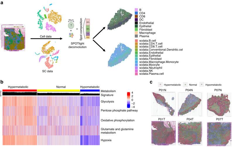 https://cdn.ncbi.nlm.nih.gov/pmc/blobs/bded/10824761/128e92e0fba9/41368_2023_267_Fig2_HTML.jpg