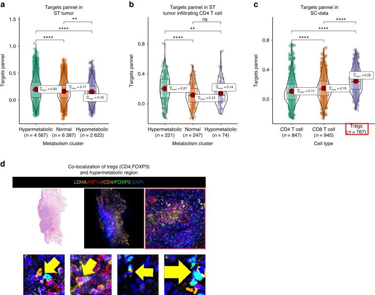 https://cdn.ncbi.nlm.nih.gov/pmc/blobs/bded/10824761/5496e6c70926/41368_2023_267_Fig5_HTML.jpg