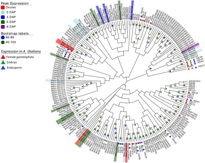 https://cdn.ncbi.nlm.nih.gov/pmc/blobs/bded/7052496/d5cf522b547b/fpls-11-00132-g005.jpg