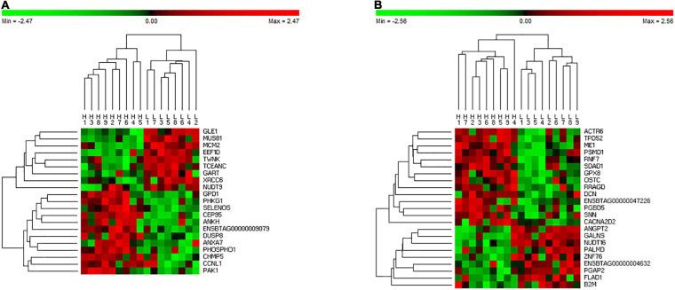 https://cdn.ncbi.nlm.nih.gov/pmc/blobs/bdef/7921797/631a30b03134/fgene-12-619857-g001.jpg