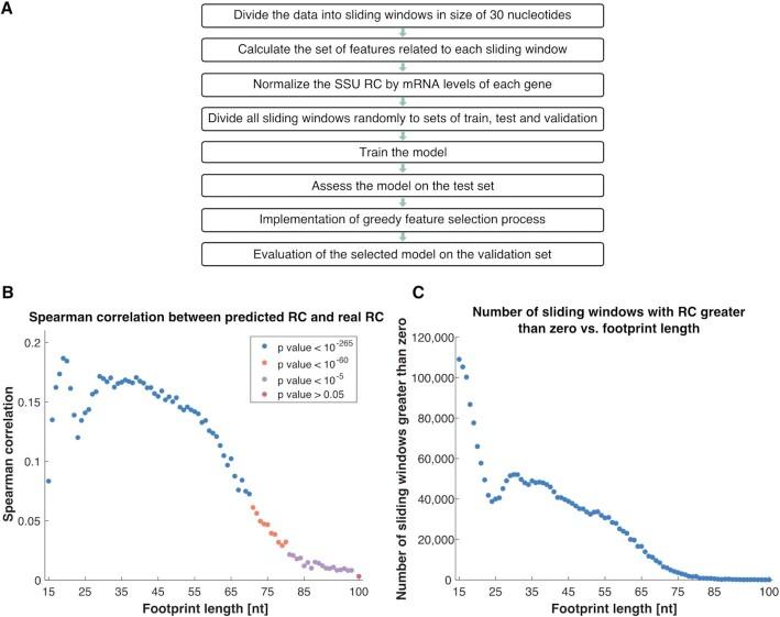 https://cdn.ncbi.nlm.nih.gov/pmc/blobs/bdf0/8860609/09d8805f348b/gkac021fig3.jpg