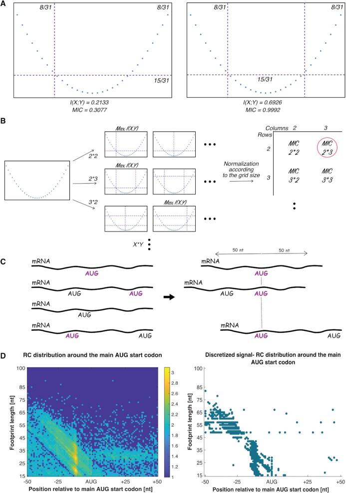https://cdn.ncbi.nlm.nih.gov/pmc/blobs/bdf0/8860609/827b6700046b/gkac021fig2.jpg