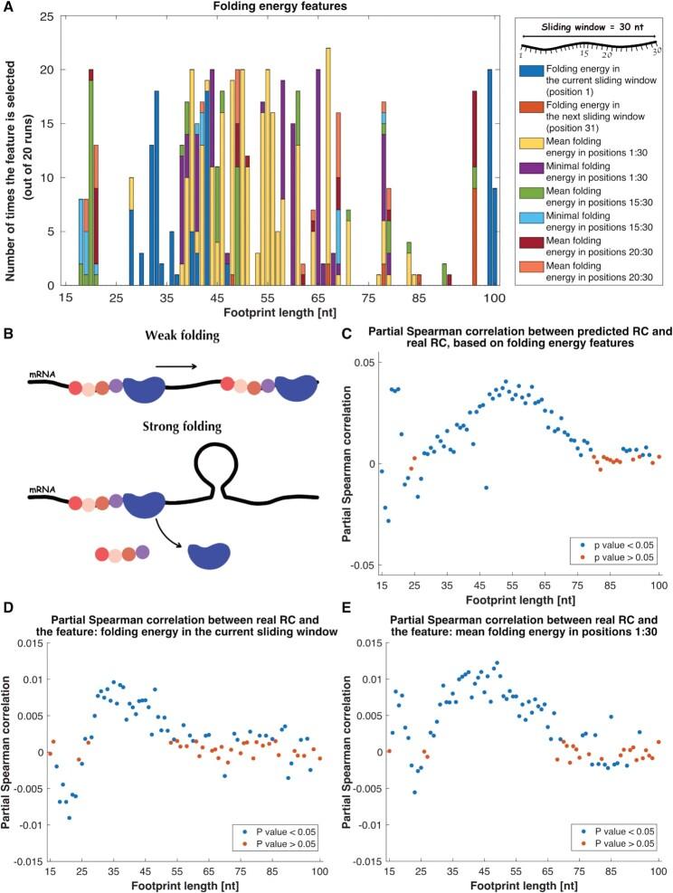 https://cdn.ncbi.nlm.nih.gov/pmc/blobs/bdf0/8860609/a5fa57515654/gkac021fig6.jpg