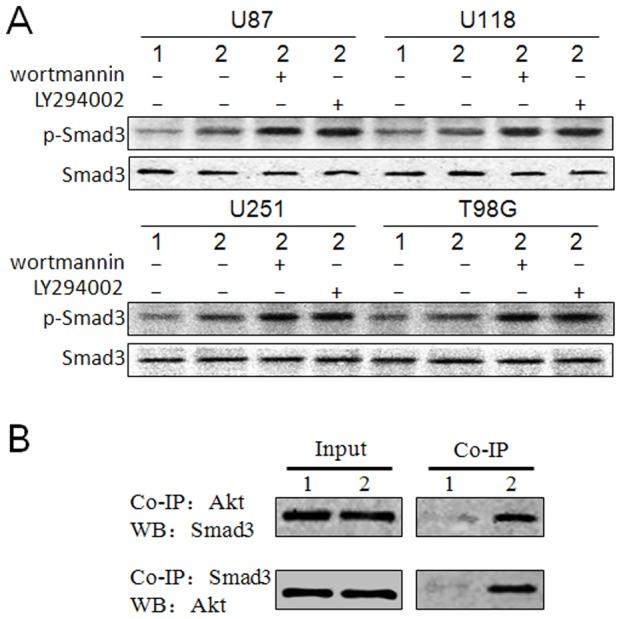 https://cdn.ncbi.nlm.nih.gov/pmc/blobs/bdf1/3997521/1d0000baf27b/pone.0096283.g005.jpg
