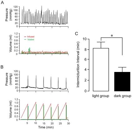 https://cdn.ncbi.nlm.nih.gov/pmc/blobs/bdf6/2924395/1bafc54e21b1/pone.0012298.g004.jpg
