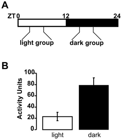 https://cdn.ncbi.nlm.nih.gov/pmc/blobs/bdf6/2924395/62062e6c2aad/pone.0012298.g002.jpg