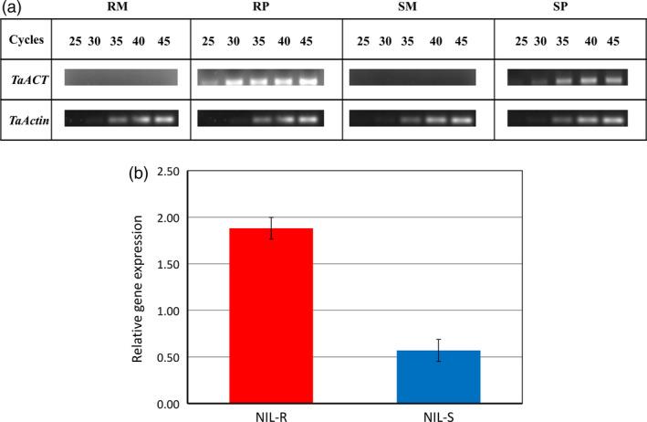 https://cdn.ncbi.nlm.nih.gov/pmc/blobs/bdf7/11388870/0729ed8c6926/PBI-15-447-g003.jpg