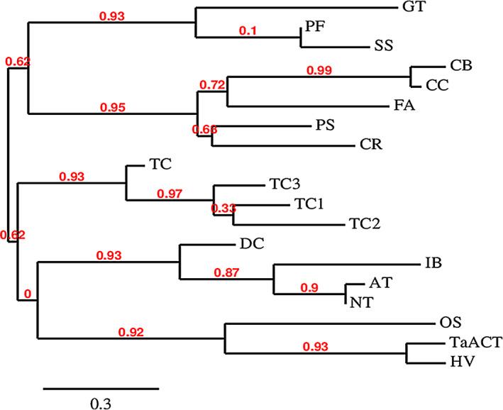 https://cdn.ncbi.nlm.nih.gov/pmc/blobs/bdf7/11388870/6a3d270b9716/PBI-15-447-g006.jpg