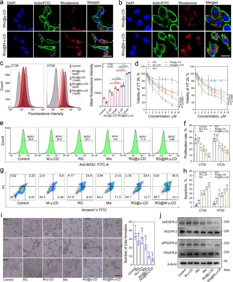 https://cdn.ncbi.nlm.nih.gov/pmc/blobs/bdfb/7858623/35b2c371866b/41467_2021_21071_Fig3_HTML.jpg