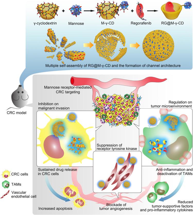 https://cdn.ncbi.nlm.nih.gov/pmc/blobs/bdfb/7858623/47e6d88d6338/41467_2021_21071_Fig1_HTML.jpg