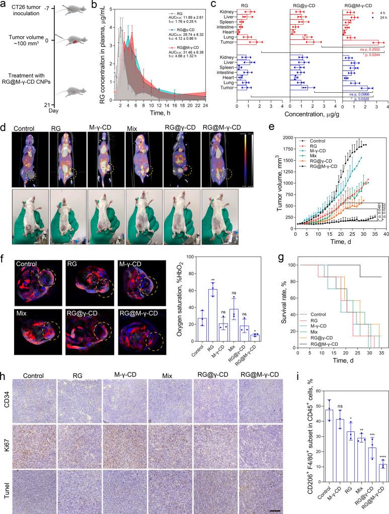 https://cdn.ncbi.nlm.nih.gov/pmc/blobs/bdfb/7858623/ad858c4718c2/41467_2021_21071_Fig7_HTML.jpg
