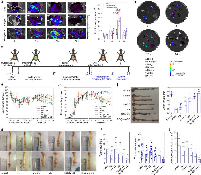 https://cdn.ncbi.nlm.nih.gov/pmc/blobs/bdfb/7858623/fc392f84105a/41467_2021_21071_Fig5_HTML.jpg